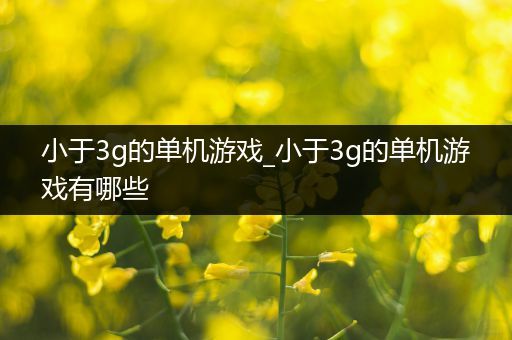 小于3g的单机游戏_小于3g的单机游戏有哪些