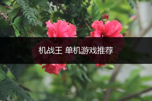 机战王 单机游戏推荐