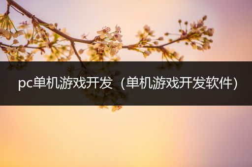 pc单机游戏开发（单机游戏开发软件）