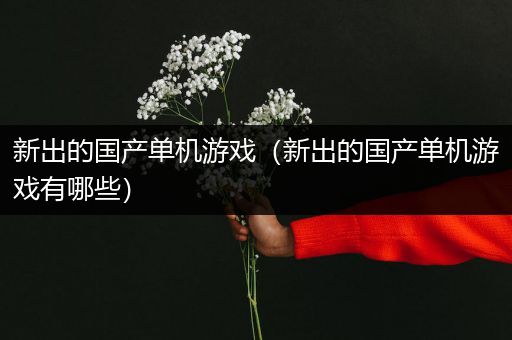 新出的国产单机游戏（新出的国产单机游戏有哪些）