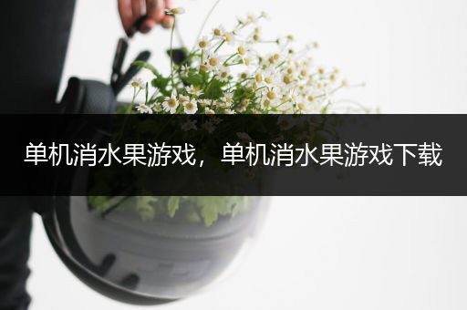 单机消水果游戏，单机消水果游戏下载
