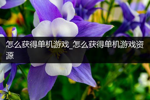 怎么获得单机游戏_怎么获得单机游戏资源