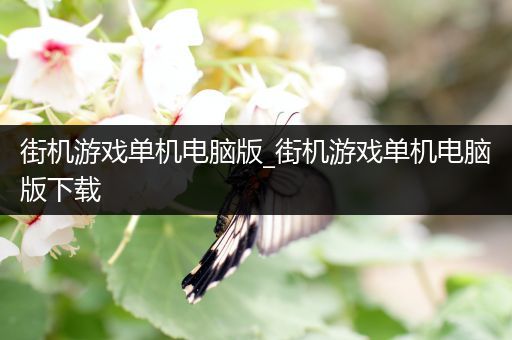 街机游戏单机电脑版_街机游戏单机电脑版下载