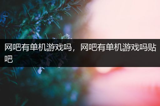 网吧有单机游戏吗，网吧有单机游戏吗贴吧