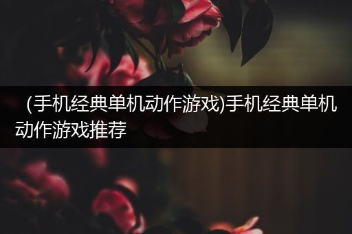 （手机经典单机动作游戏)手机经典单机动作游戏推荐