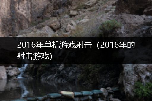 2016年单机游戏射击（2016年的射击游戏）