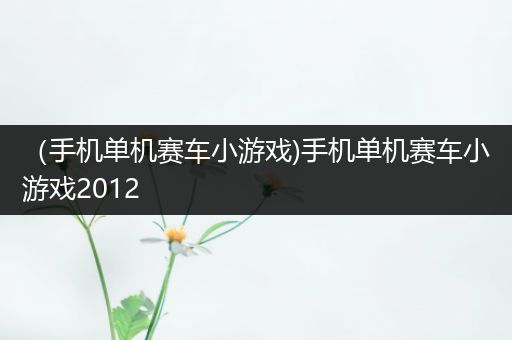 （手机单机赛车小游戏)手机单机赛车小游戏2012