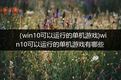 （win10可以运行的单机游戏)win10可以运行的单机游戏有哪些