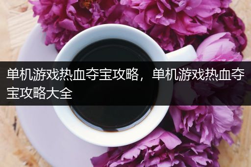 单机游戏热血夺宝攻略，单机游戏热血夺宝攻略大全