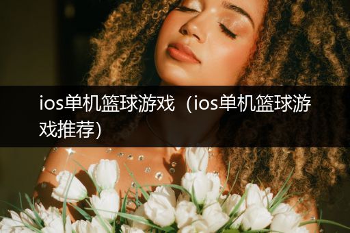 ios单机篮球游戏（ios单机篮球游戏推荐）