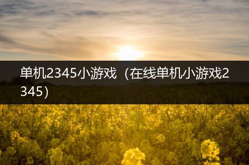 单机2345小游戏（在线单机小游戏2345）