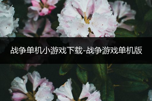 战争单机小游戏下载-战争游戏单机版