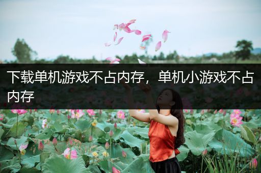 下载单机游戏不占内存，单机小游戏不占内存
