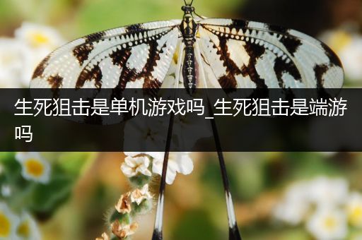 生死狙击是单机游戏吗_生死狙击是端游吗