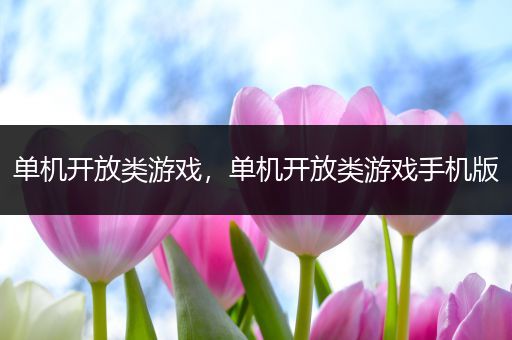 单机开放类游戏，单机开放类游戏手机版