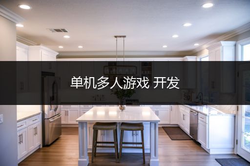 单机多人游戏 开发