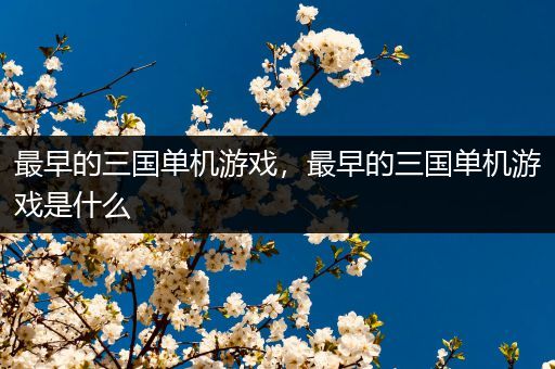 最早的三国单机游戏，最早的三国单机游戏是什么
