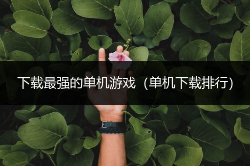 下载最强的单机游戏（单机下载排行）