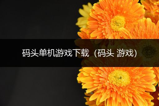 码头单机游戏下载（码头 游戏）