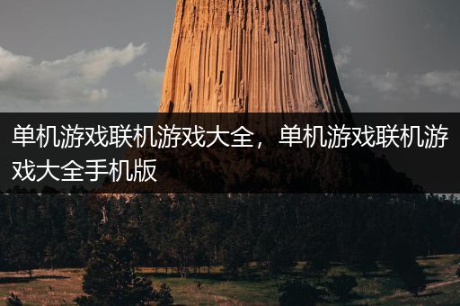 单机游戏联机游戏大全，单机游戏联机游戏大全手机版