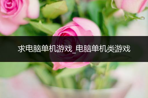 求电脑单机游戏_电脑单机类游戏