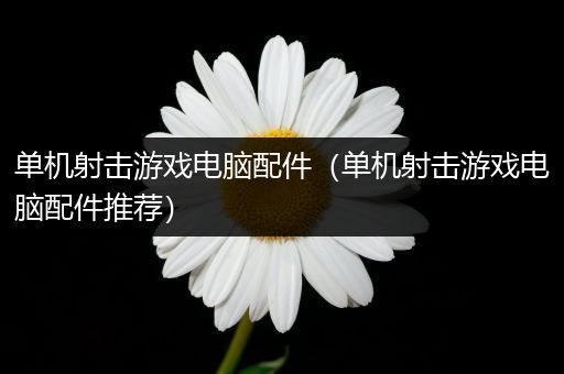 单机射击游戏电脑配件（单机射击游戏电脑配件推荐）