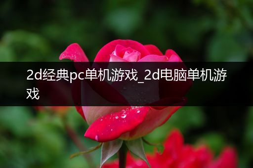2d经典pc单机游戏_2d电脑单机游戏
