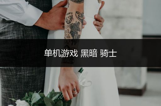 单机游戏 黑暗 骑士