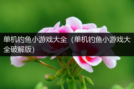 单机钓鱼小游戏大全（单机钓鱼小游戏大全破解版）