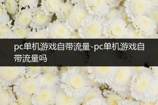 pc单机游戏自带流量-pc单机游戏自带流量吗