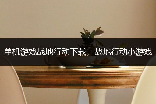 单机游戏战地行动下载，战地行动小游戏
