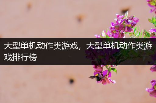 大型单机动作类游戏，大型单机动作类游戏排行榜
