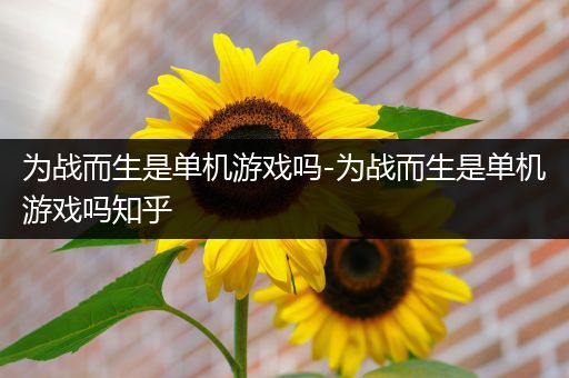 为战而生是单机游戏吗-为战而生是单机游戏吗知乎