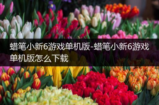 蜡笔小新6游戏单机版-蜡笔小新6游戏单机版怎么下载