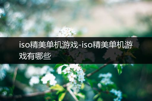 iso精美单机游戏-iso精美单机游戏有哪些