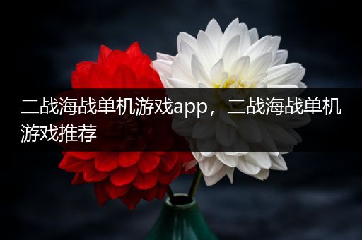 二战海战单机游戏app，二战海战单机游戏推荐