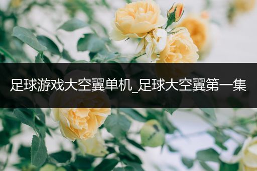 足球游戏大空翼单机_足球大空翼第一集