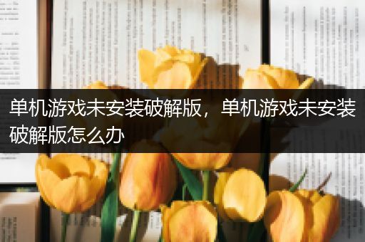 单机游戏未安装破解版，单机游戏未安装破解版怎么办