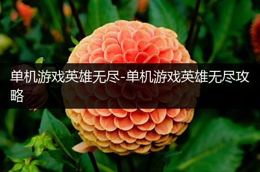 单机游戏英雄无尽-单机游戏英雄无尽攻略