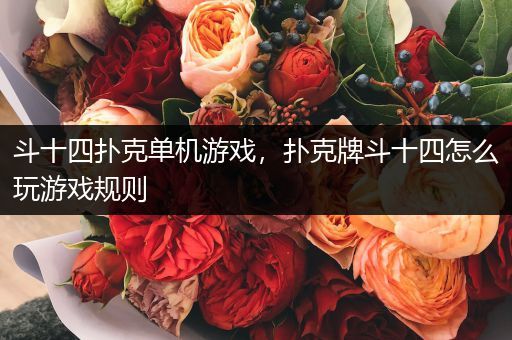 斗十四扑克单机游戏，扑克牌斗十四怎么玩游戏规则