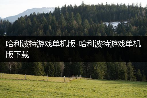 哈利波特游戏单机版-哈利波特游戏单机版下载