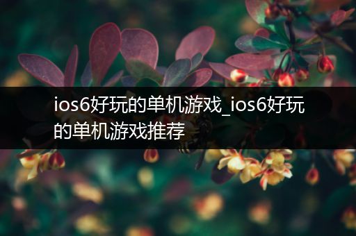ios6好玩的单机游戏_ios6好玩的单机游戏推荐