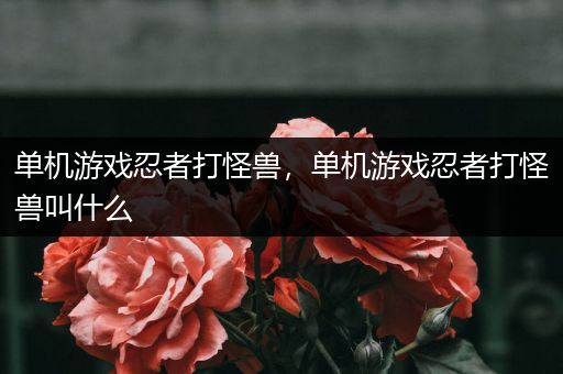 单机游戏忍者打怪兽，单机游戏忍者打怪兽叫什么