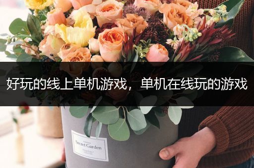 好玩的线上单机游戏，单机在线玩的游戏