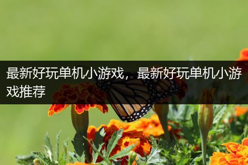 最新好玩单机小游戏，最新好玩单机小游戏推荐