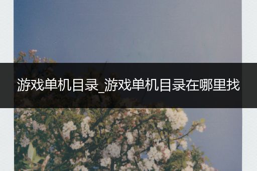 游戏单机目录_游戏单机目录在哪里找