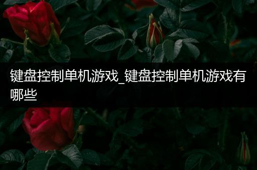 键盘控制单机游戏_键盘控制单机游戏有哪些