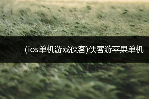（ios单机游戏侠客)侠客游苹果单机