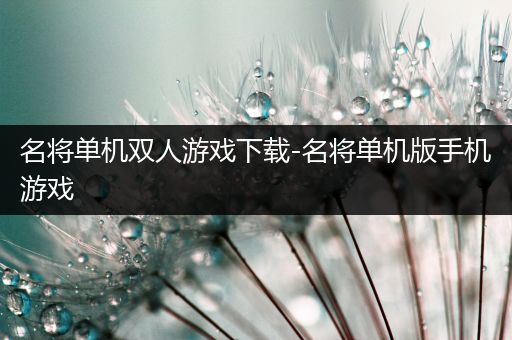 名将单机双人游戏下载-名将单机版手机游戏