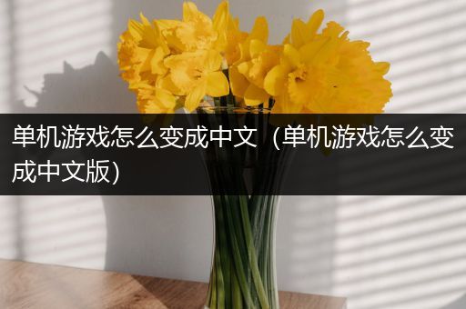 单机游戏怎么变成中文（单机游戏怎么变成中文版）